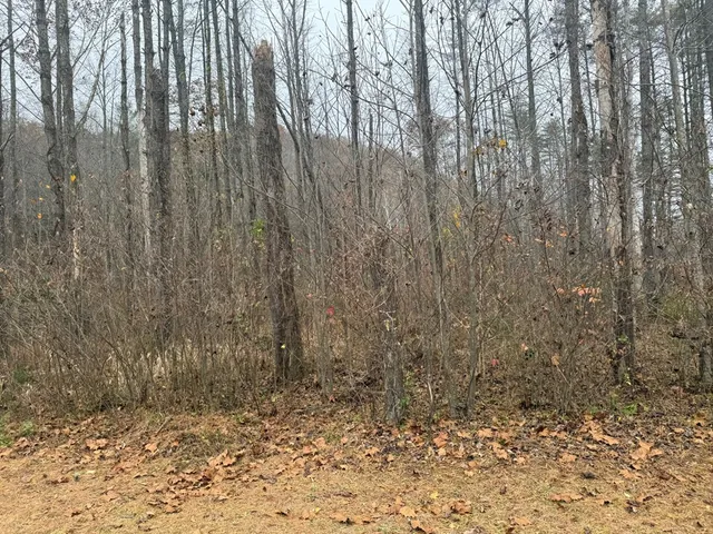 a view of wooden floor