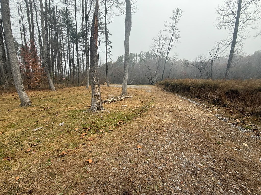 0 Rushing Water Trail Hayesville, NC 28904 - Photo 7 of 7 a view of a backyard with large trees
