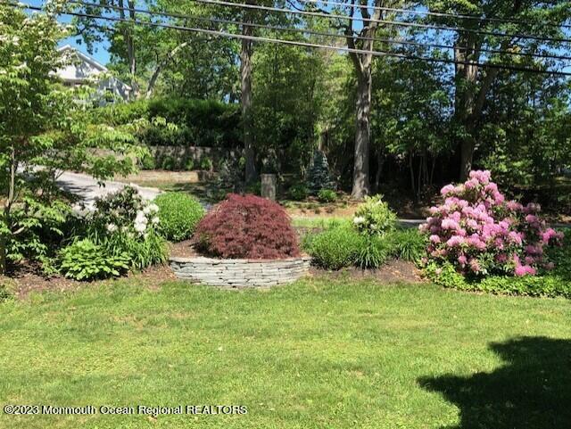Front Landscaping