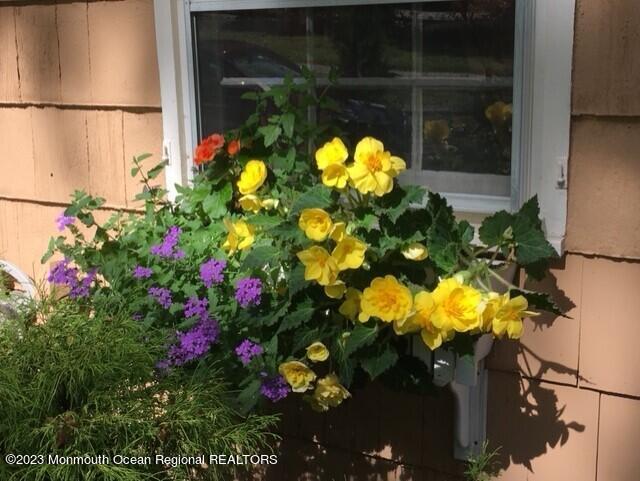 712 Schoolhouse Road Brielle, NJ 08730 - Photo 33 of 39 Flower Box