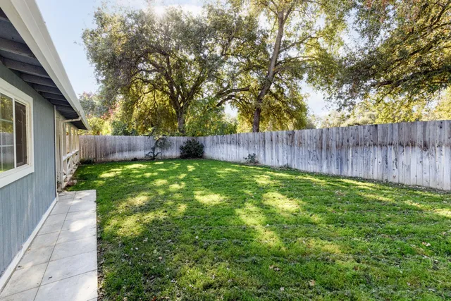 a view of a backyard with large tree and wooden fence