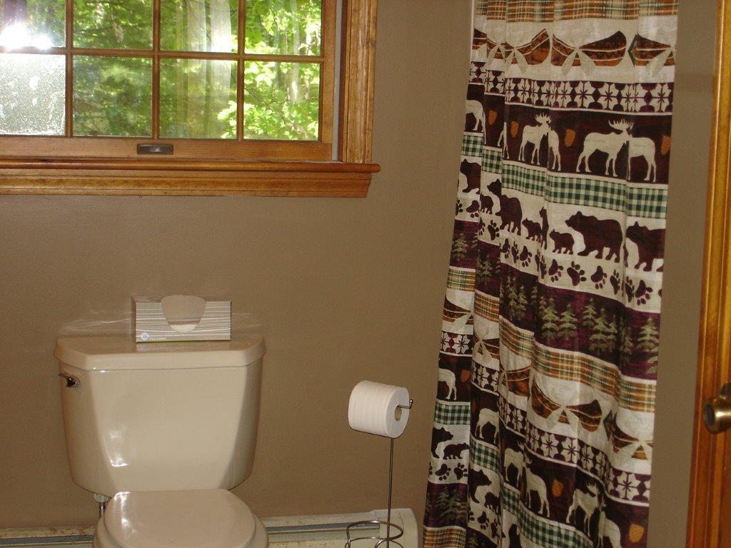 1136 Lakewood Road Madison, ME 04950 - Photo 12 of 23 1st Floor bath with laundry