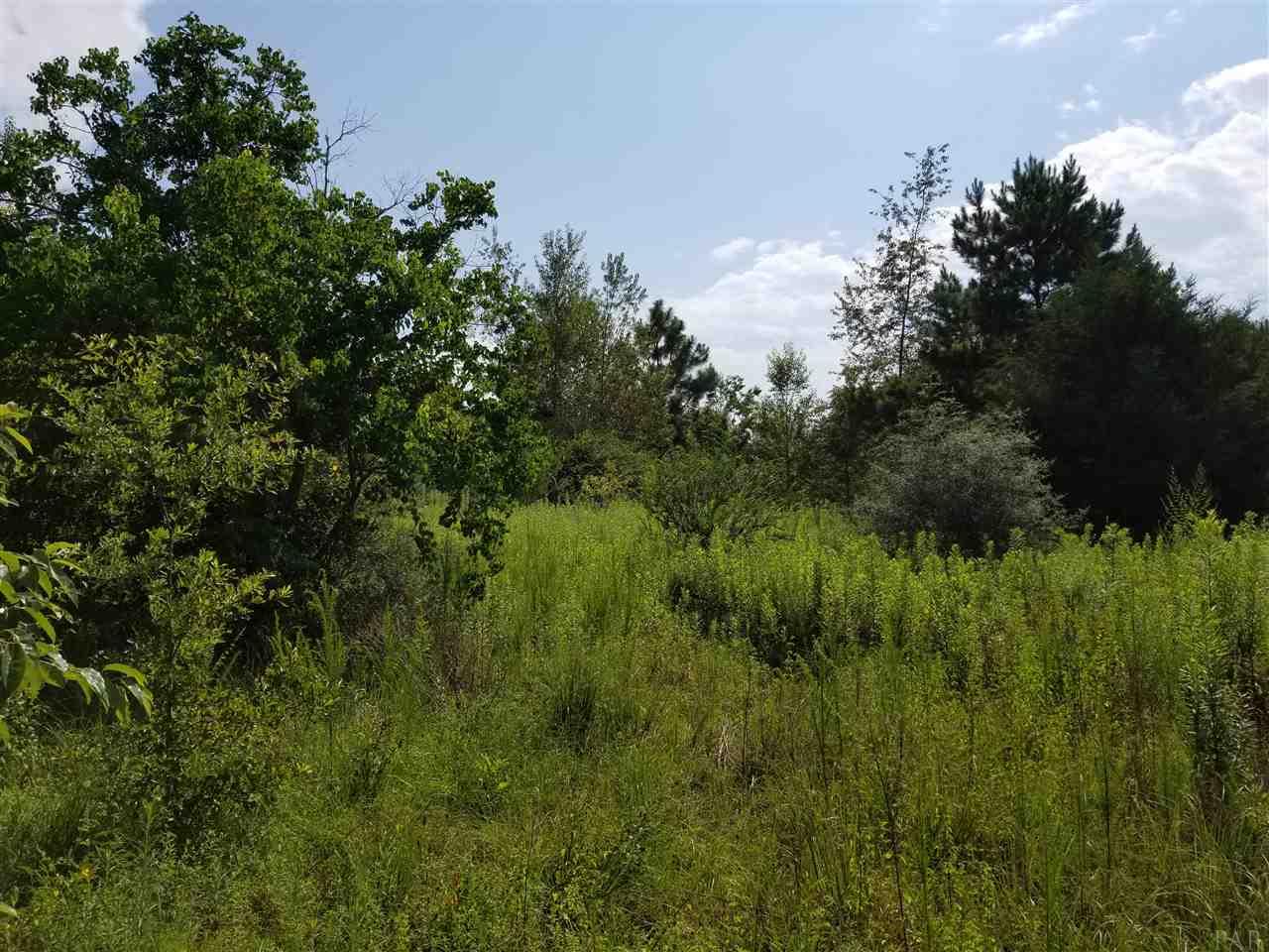 1900 Smyers Road Cantonment, FL 32533 - Photo 1 of 4 Gallery Image 1
