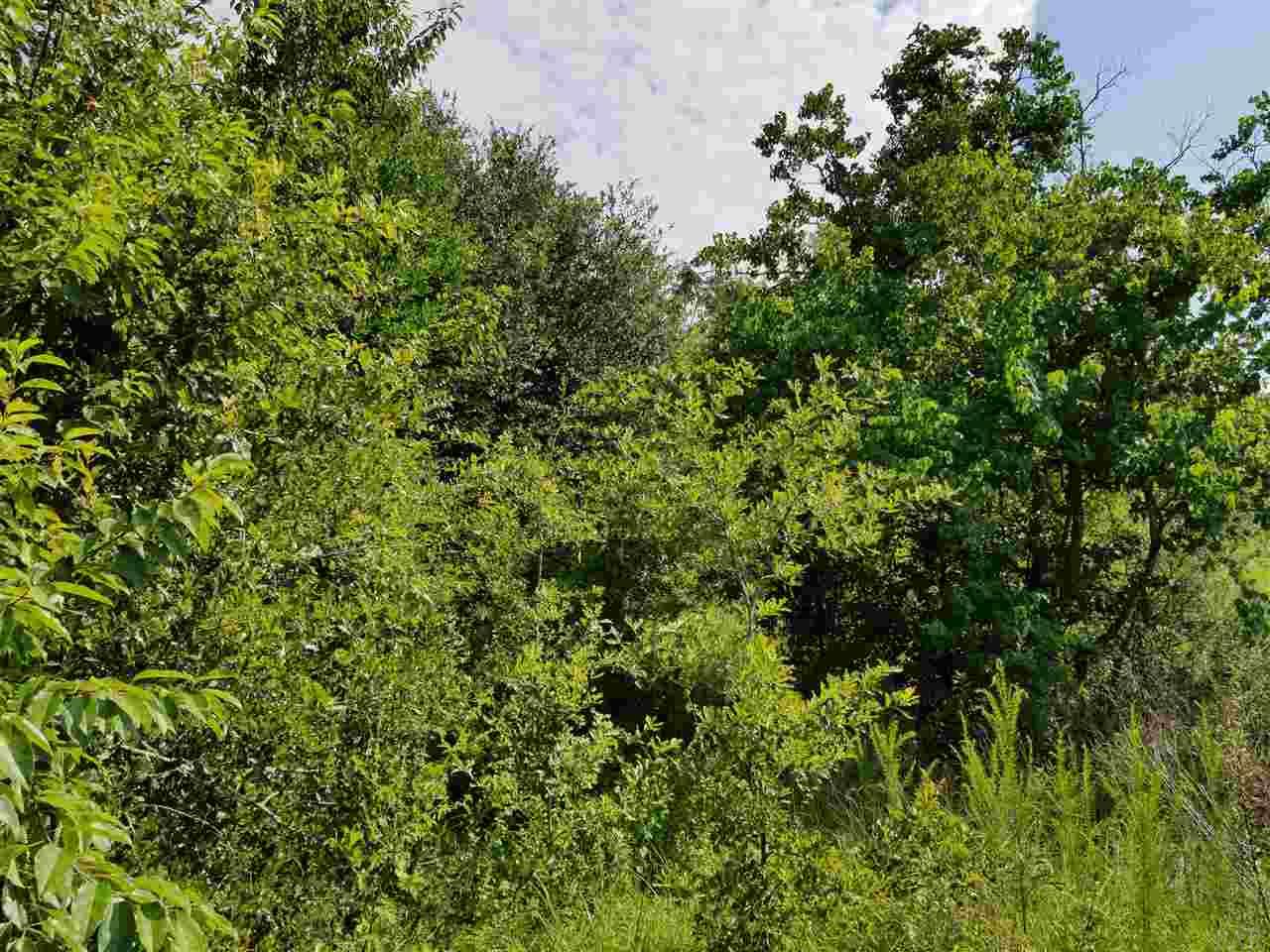 1900 Smyers Road Cantonment, FL 32533 - Photo 2 of 4 Gallery Image 2