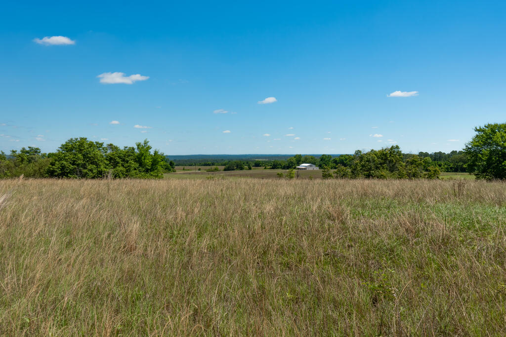 63 Hayes Road Mauk, GA 31058 - Photo 7 of 18 Gallery Image 7