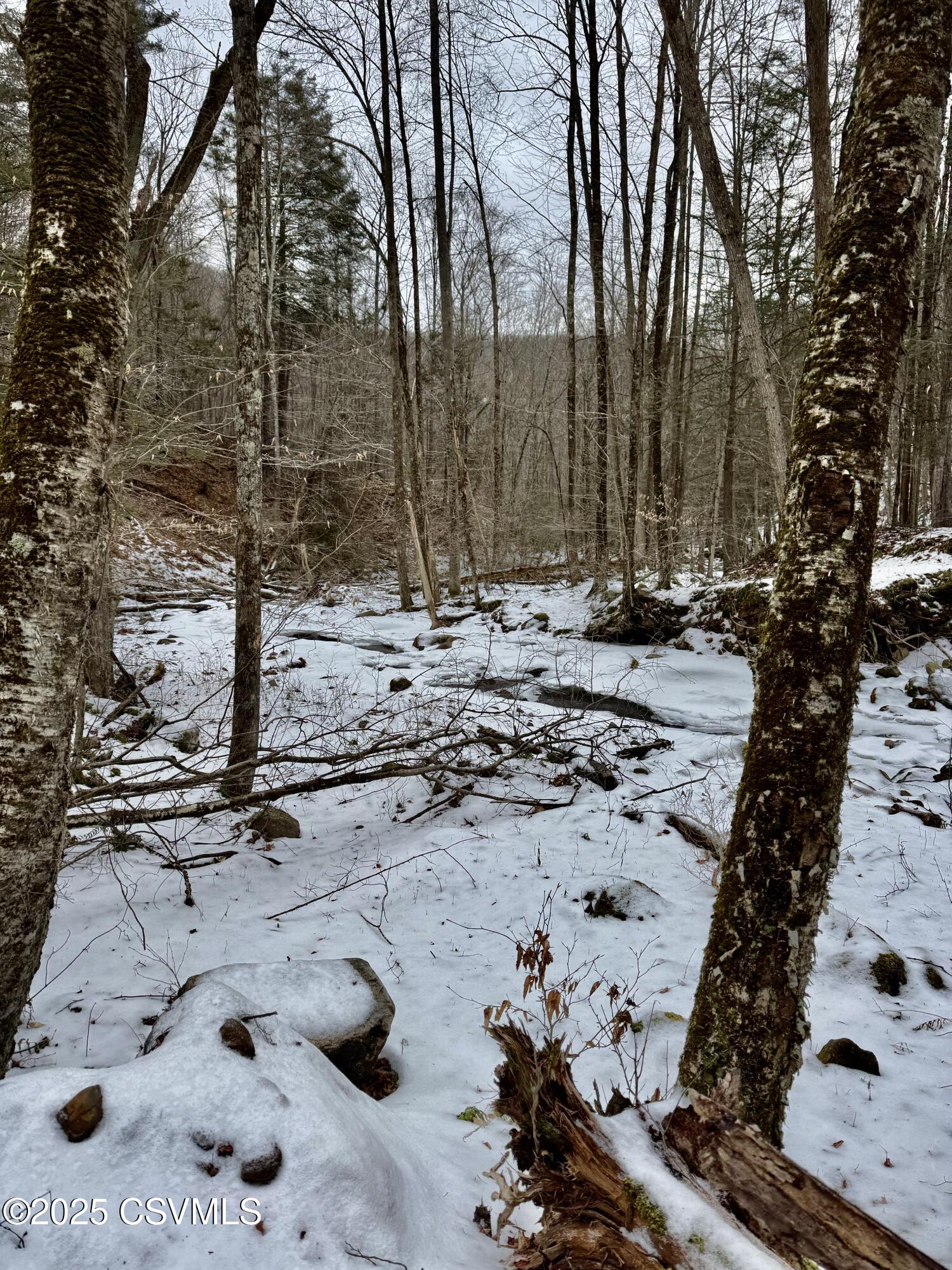 Root Hollow Road Mehoopany, PA 18629 - Photo 20 of 24 Gallery Image 20