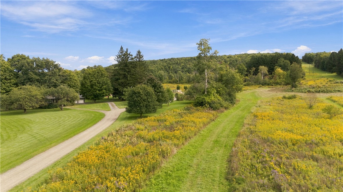 3310 County Road Alpine, NY 14805 - Photo 35 of 48 Gallery Image 35