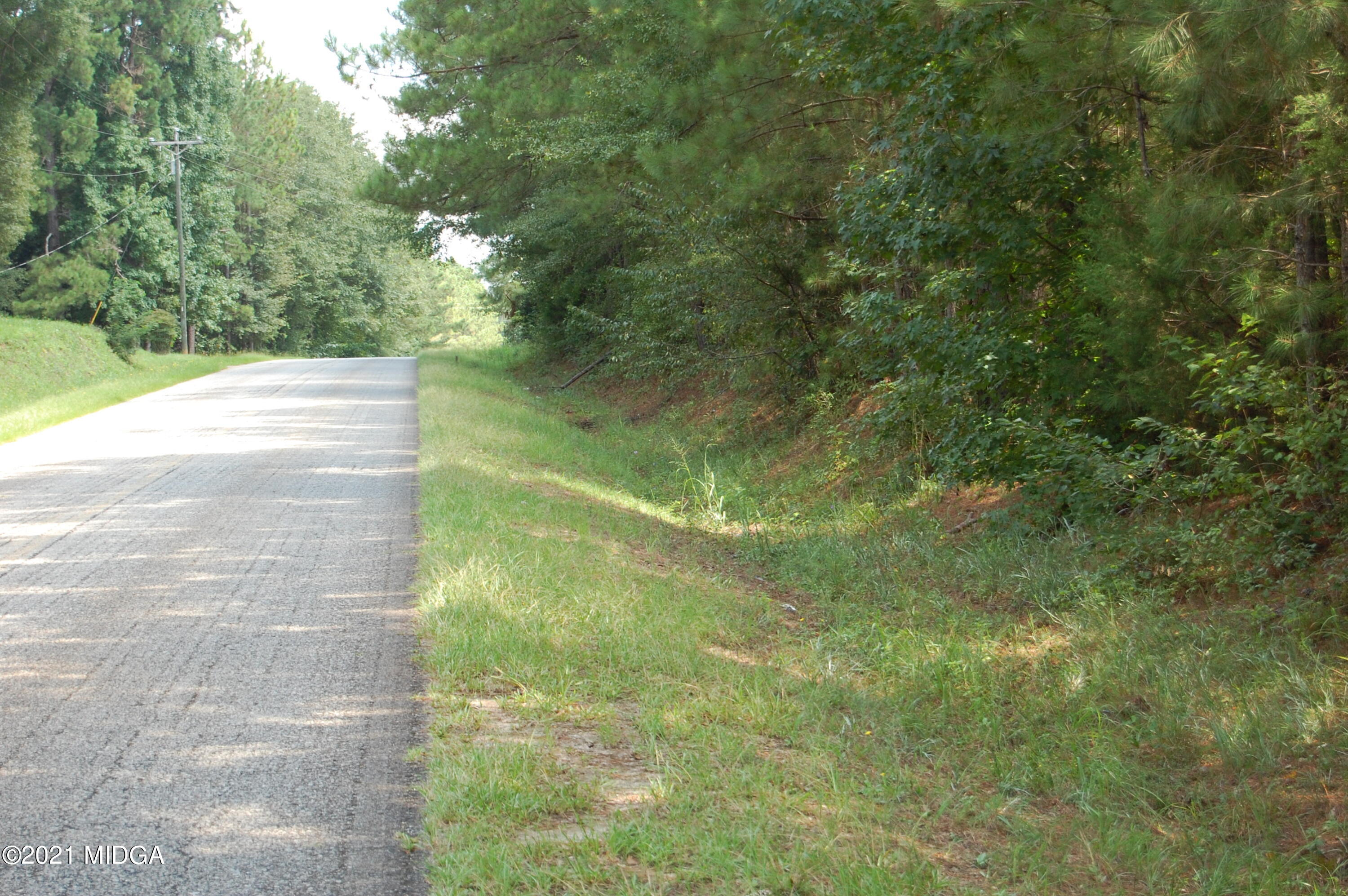 0 Jugtown Road Meansville, GA 30256 - Photo 3 of 10 DSC_0134