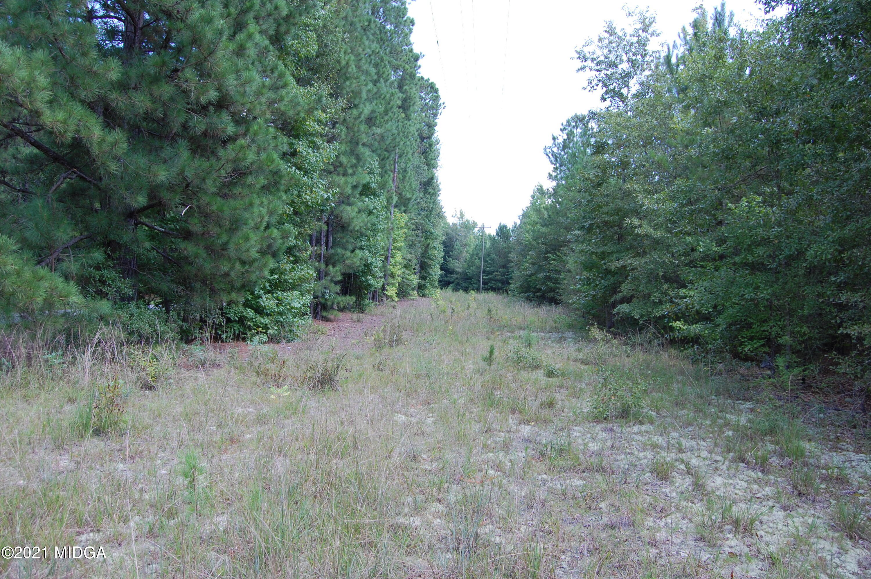 0 Jugtown Road Meansville, GA 30256 - Photo 7 of 10 DSC_0139