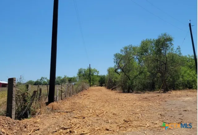 a view of a yard with trees