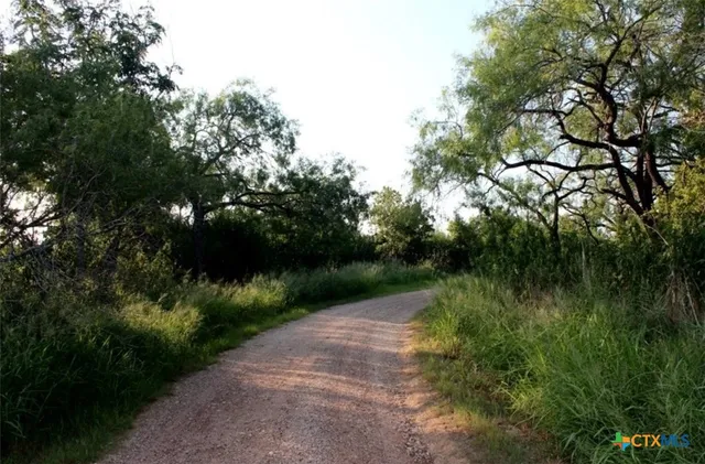 a view of a street with a tree