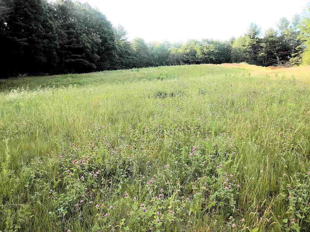 23 Estes Road Rochester, NH 03839 - Photo 3 of 27