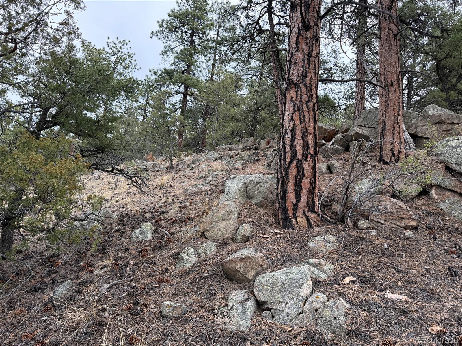 672 Coyote Run Road Cotopaxi, CO 81223 - Photo 13 of 26