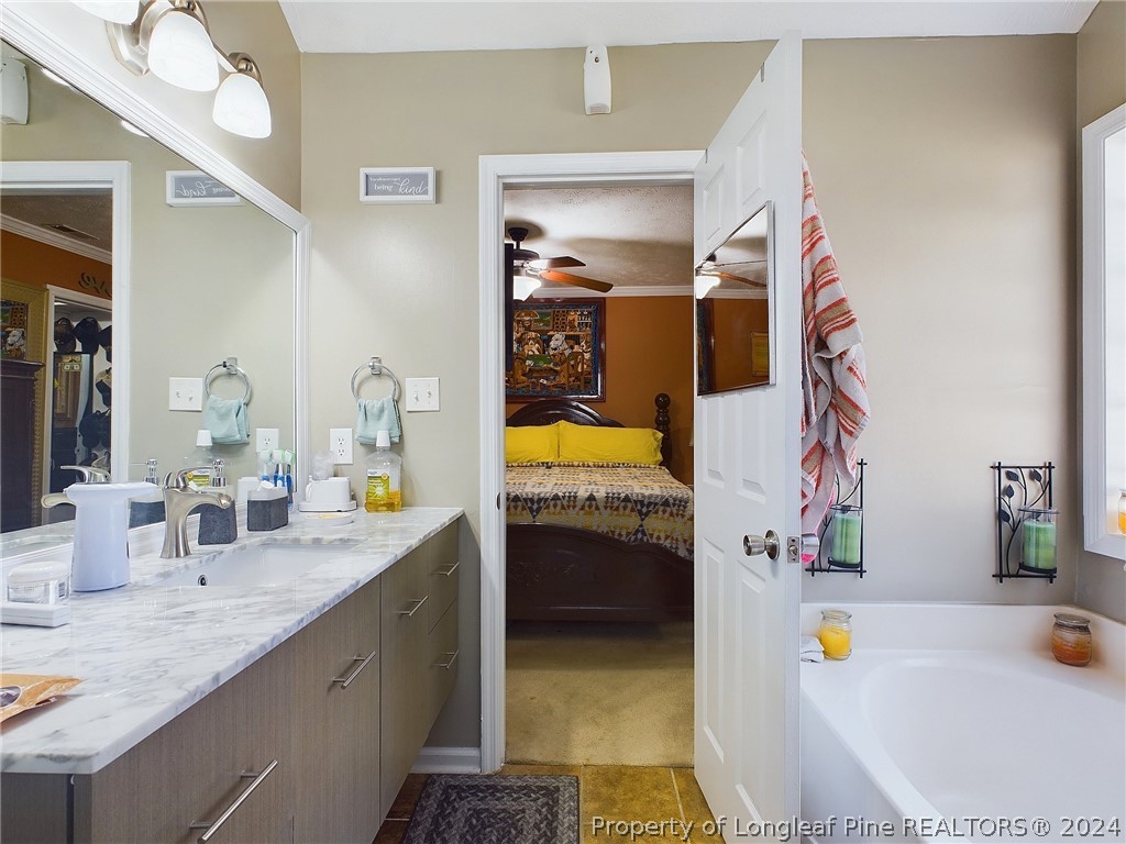 6948 Rockfish Road Raeford, NC 28376 - Photo 22 of 39 a bathroom with a sink vanity tub and a mirror