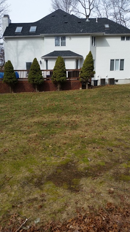 256 Daly Drive Extension Stoughton, MA 02072 - Photo 4 of 28