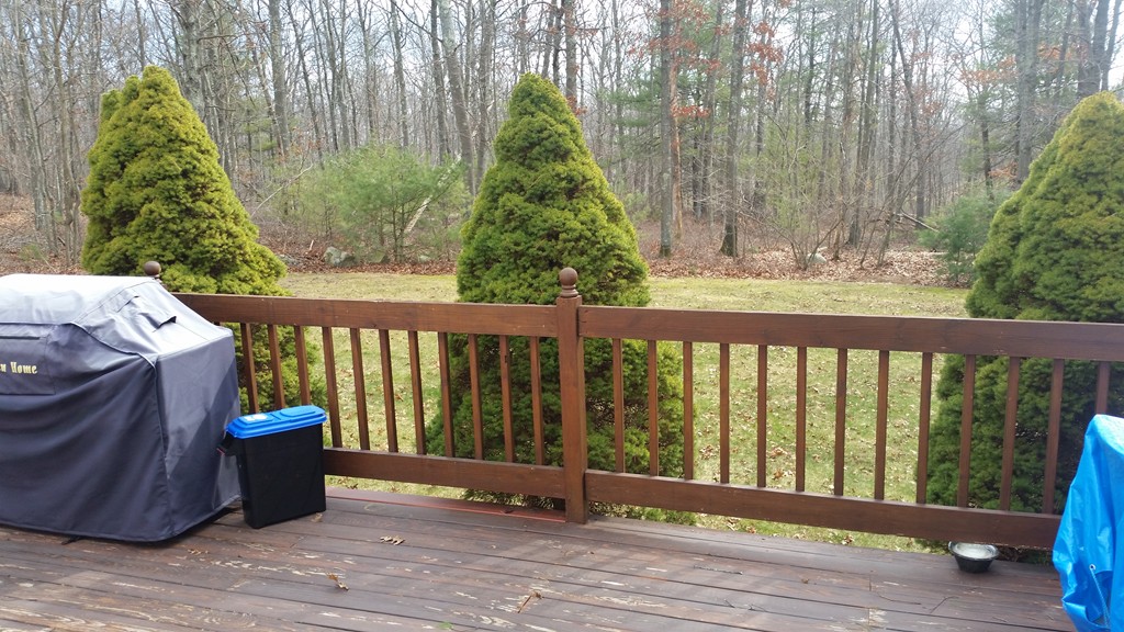 256 Daly Drive Extension Stoughton, MA 02072 - Photo 5 of 28