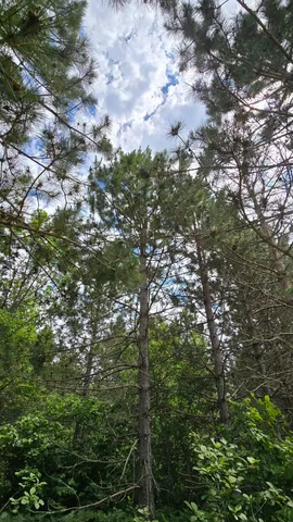 $59,900 | 30945 Vahalla Lane, Cass Lake, MN 56633