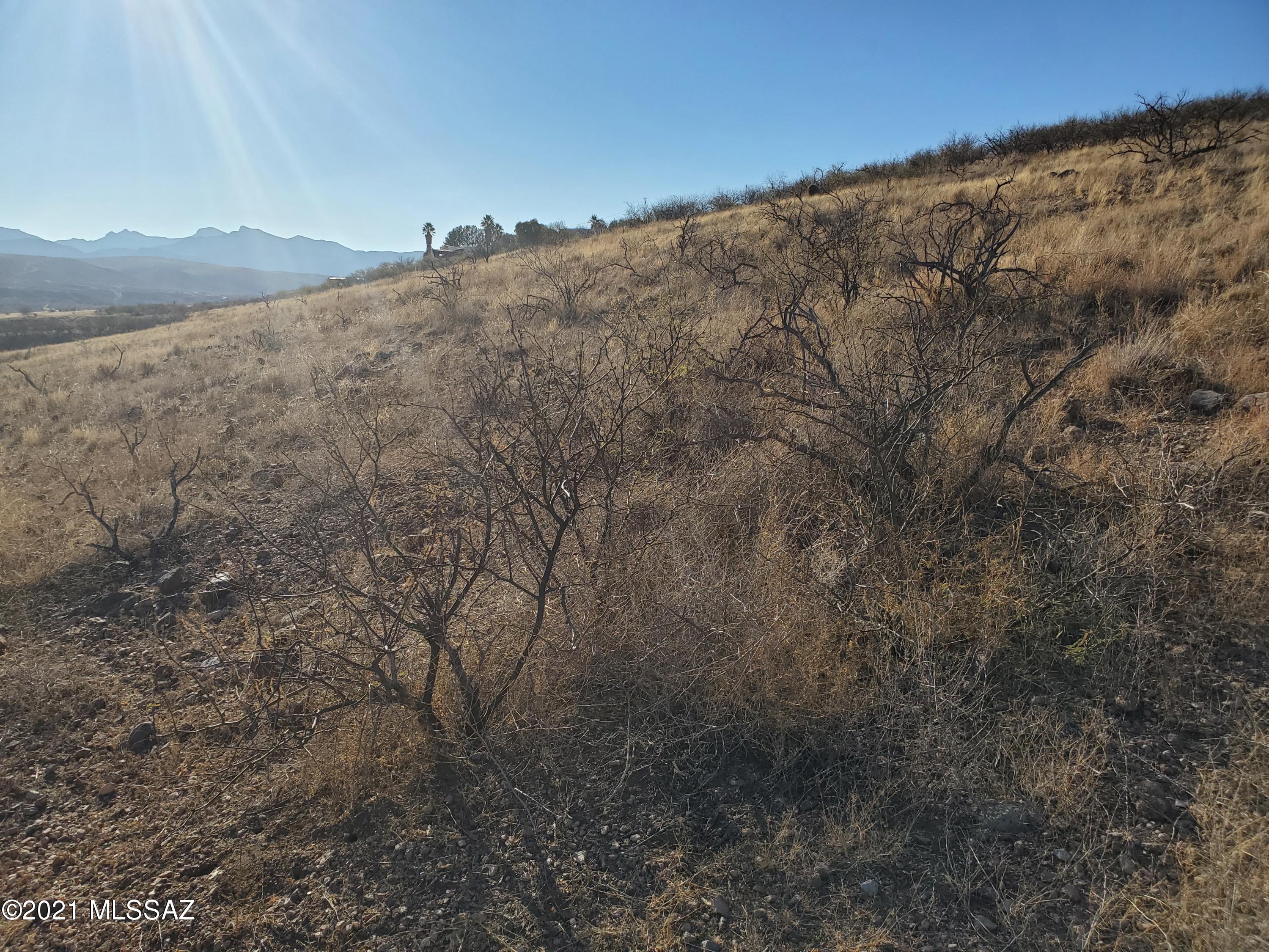 606 Via Taxco, Unit 93 Rio Rico, AZ 85648 - Photo 2 of 4