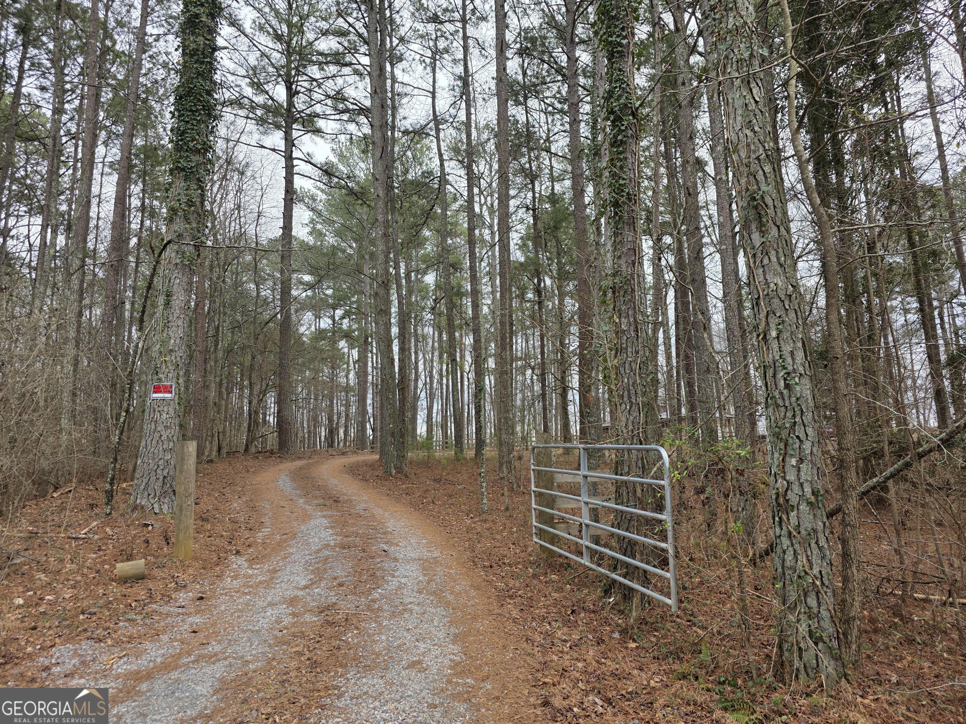 731 Seabreeze Lake Road Buchanan, GA 30113 - Photo 1 of 34 a view of outdoor space and yard