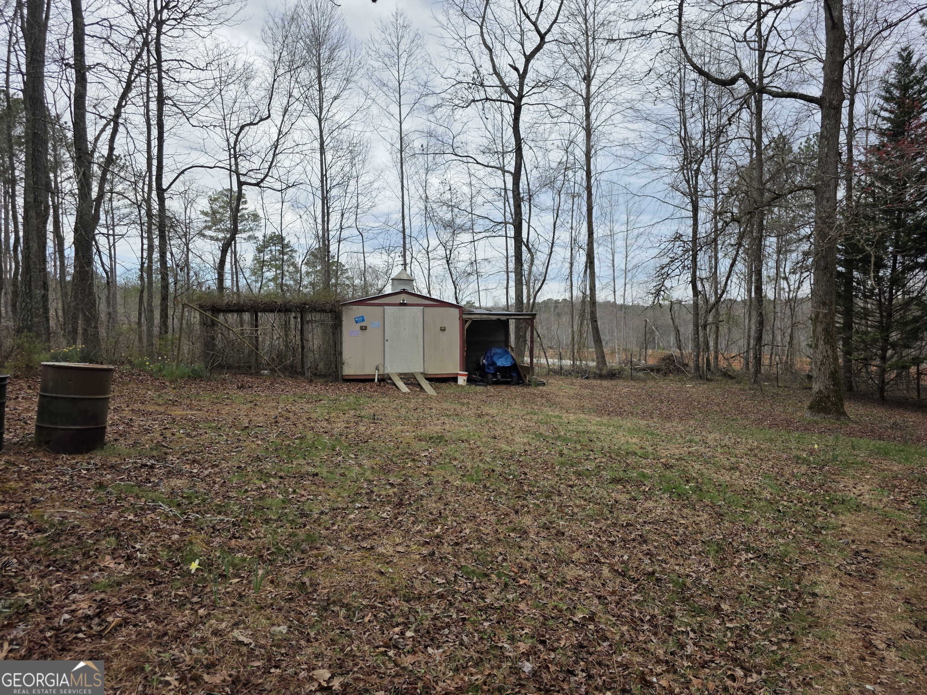 731 Seabreeze Lake Road Buchanan, GA 30113 - Photo 29 of 34 a view of a backyard