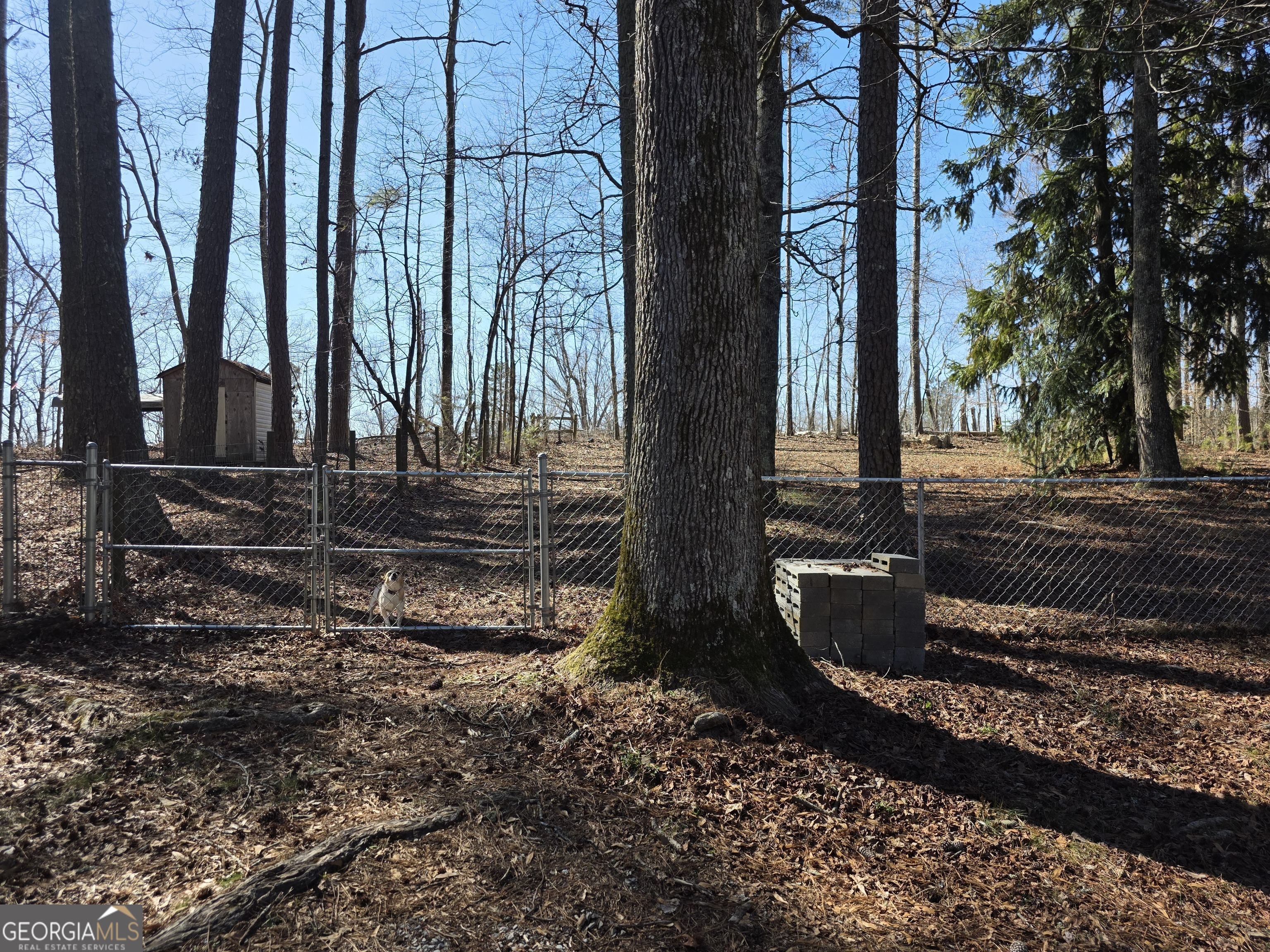 731 Seabreeze Lake Road Buchanan, GA 30113 - Photo 34 of 34 a view of a pathway of a house