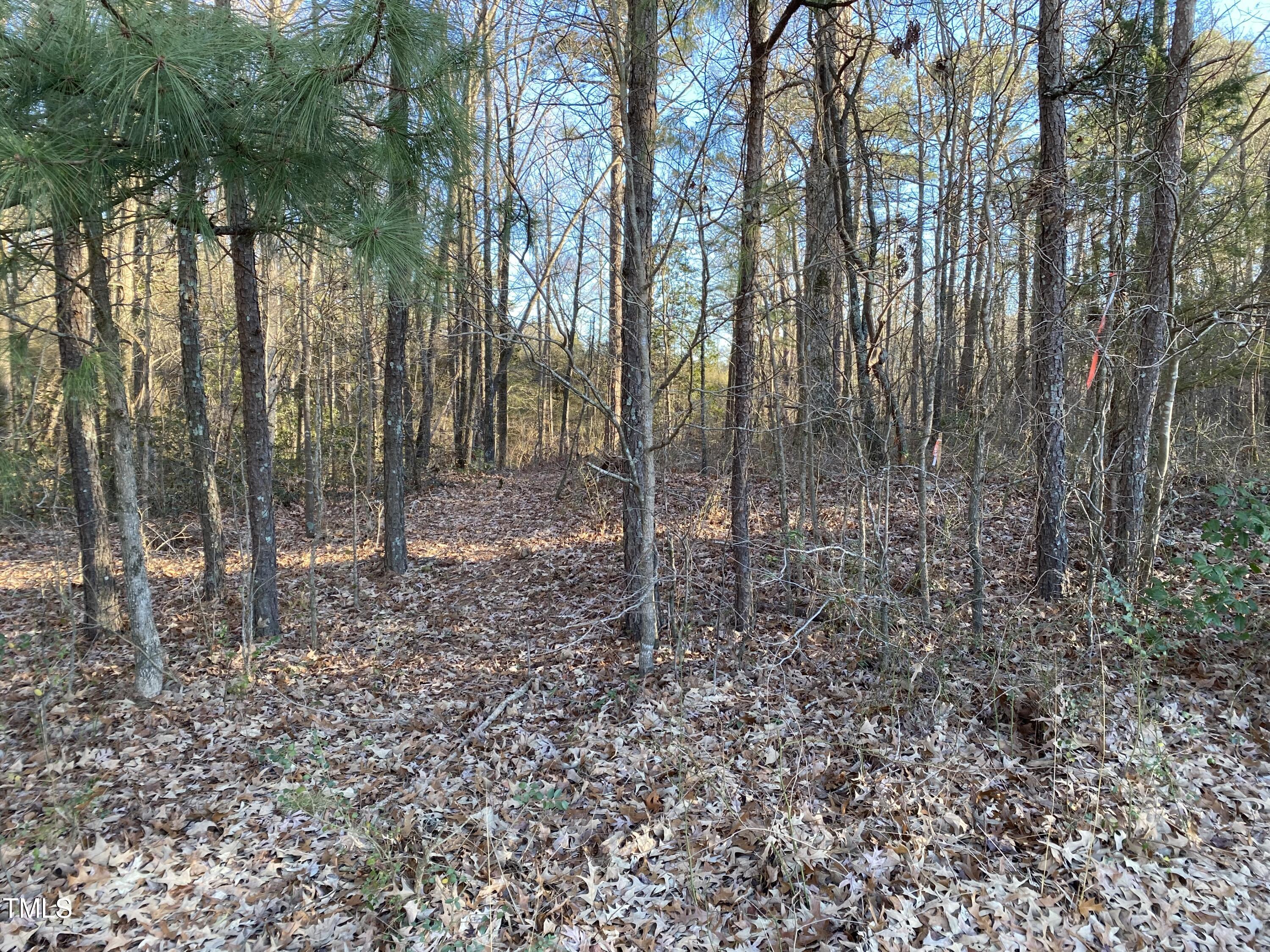 1 Erwin Chapel Road Dunn, NC 28334 - Photo 13 of 14 IMG_0109