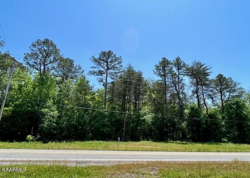 0 South State Highway Decatur, TN 37322 - Photo 3 of 3
