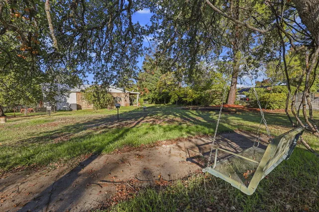a view of a park with large trees