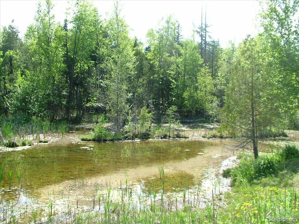 5950 Hasslick Road North Branch, MI 48461 - Photo 3 of 9 DSCF4463