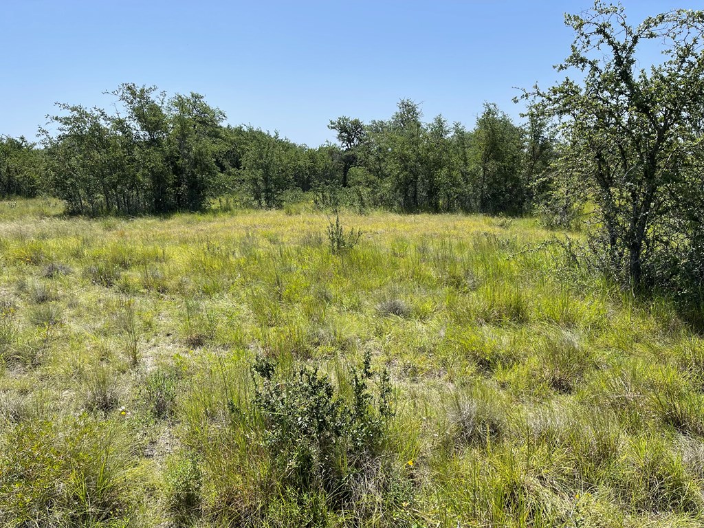 89 Summit Ridge Trail, Unit 89 Johnson City, TX 78636 - Photo 15 of 24 Gallery Image 15