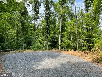 Fields Mill Road Elkwood, VA 22718 - Photo 2 of 5 End of road