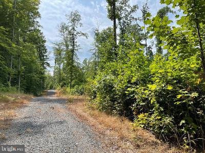 Fields Mill Road Elkwood, VA 22718 - Photo 4 of 5 View of road and lot