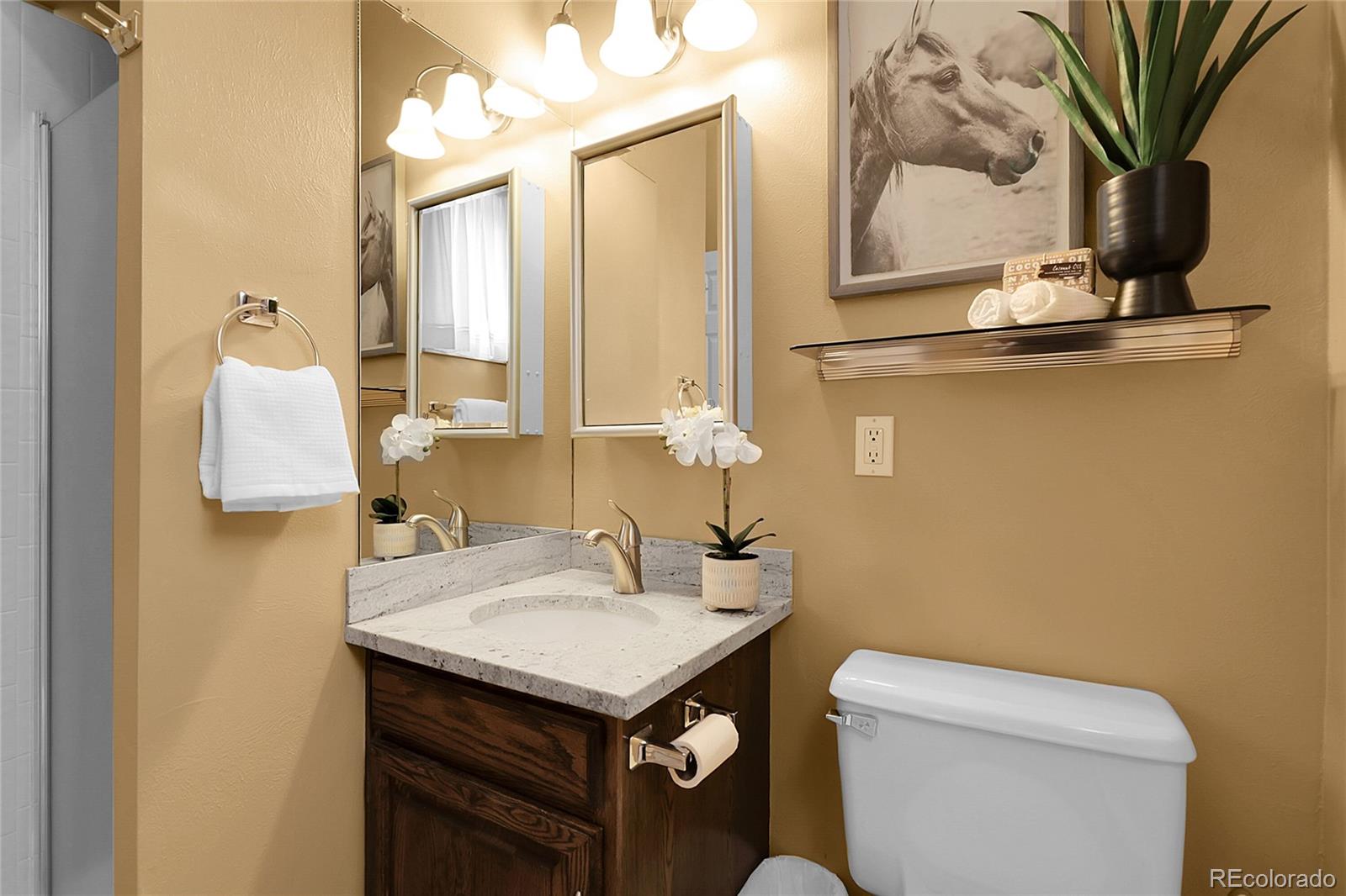 503 15th Street Golden, CO 80401 - Photo 14 of 30 a bathroom with a sink and a toilet