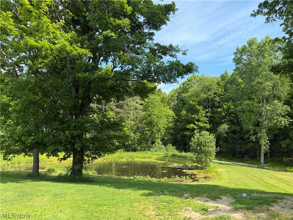 13166 Butternut Road Burton, OH 44021 - Photo 9 of 43 Pond