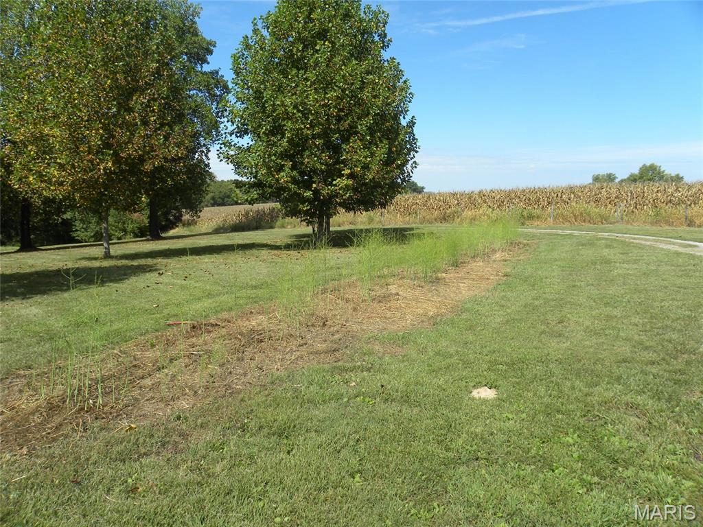 21512 Richey Hollow Road Jerseyville, IL 62052 - Photo 13 of 50 Gallery Image 13