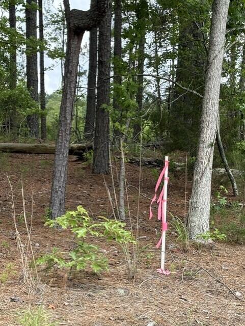 Lot A Cemetery Road Williston, SC 29853 - Photo 4 of 6