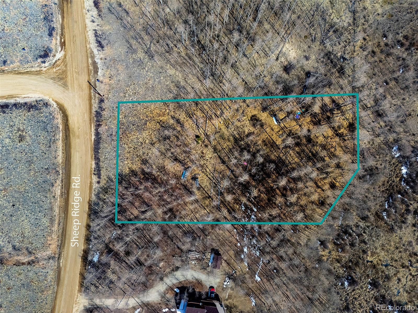 1555 Sheep Ridge Road Fairplay, CO 80440 - Photo 14 of 18 a view of a yard with plants