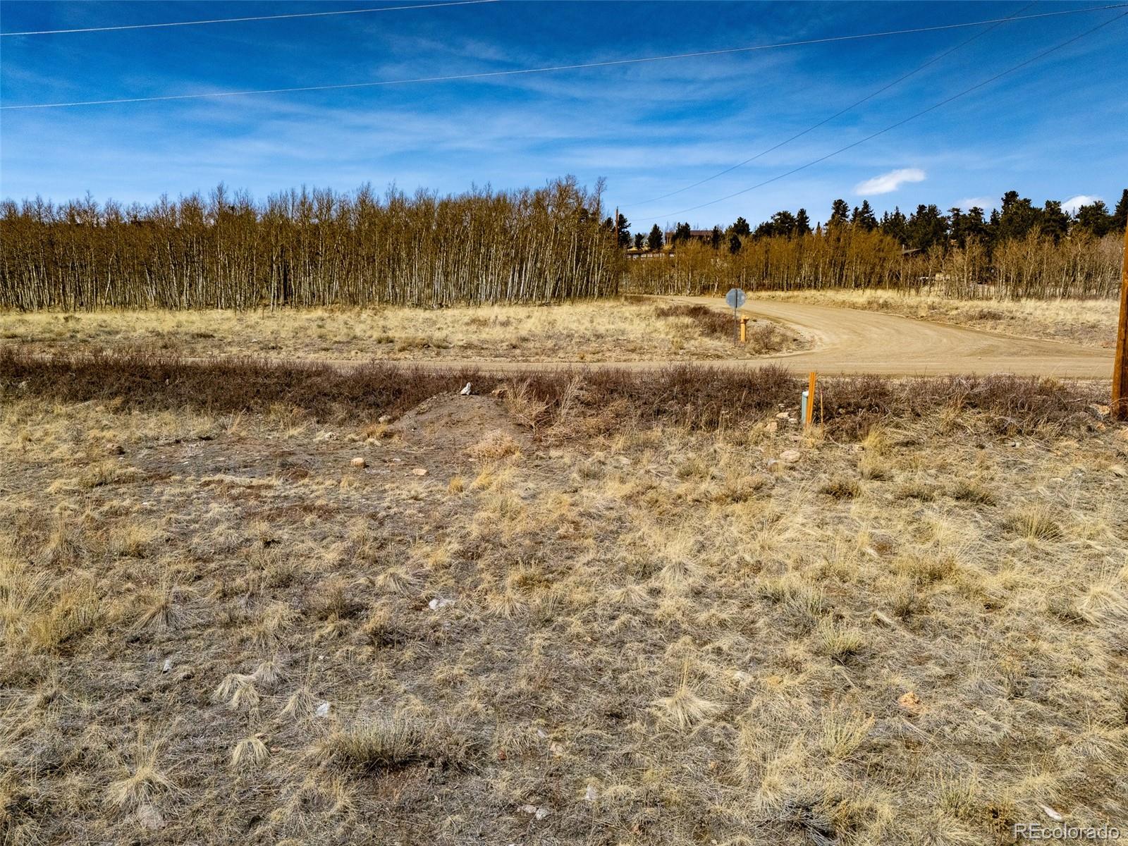 1555 Sheep Ridge Road Fairplay, CO 80440 - Photo 16 of 18