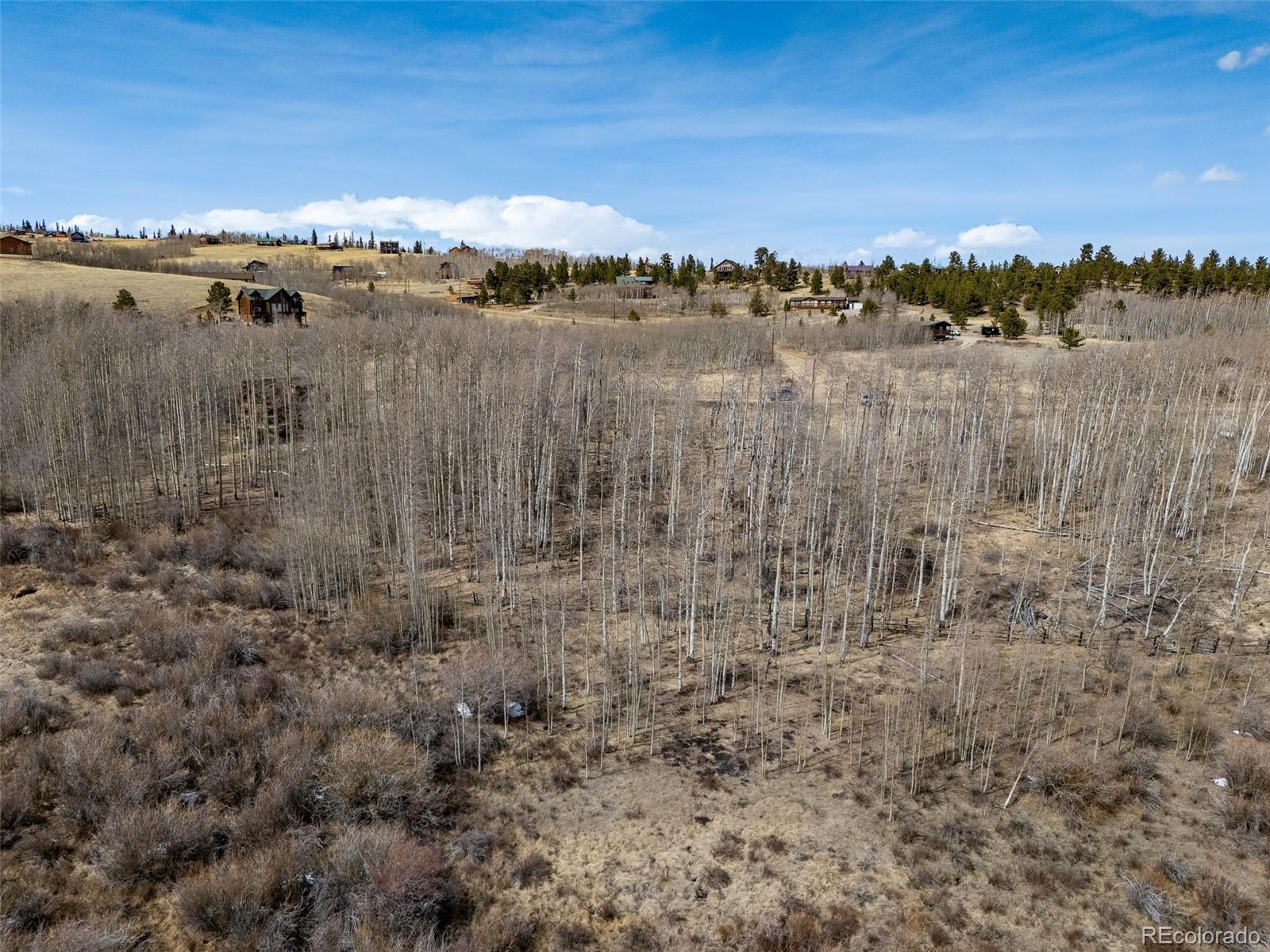 1555 Sheep Ridge Road Fairplay, CO 80440 - Photo 4 of 18 a view of a lake with houses