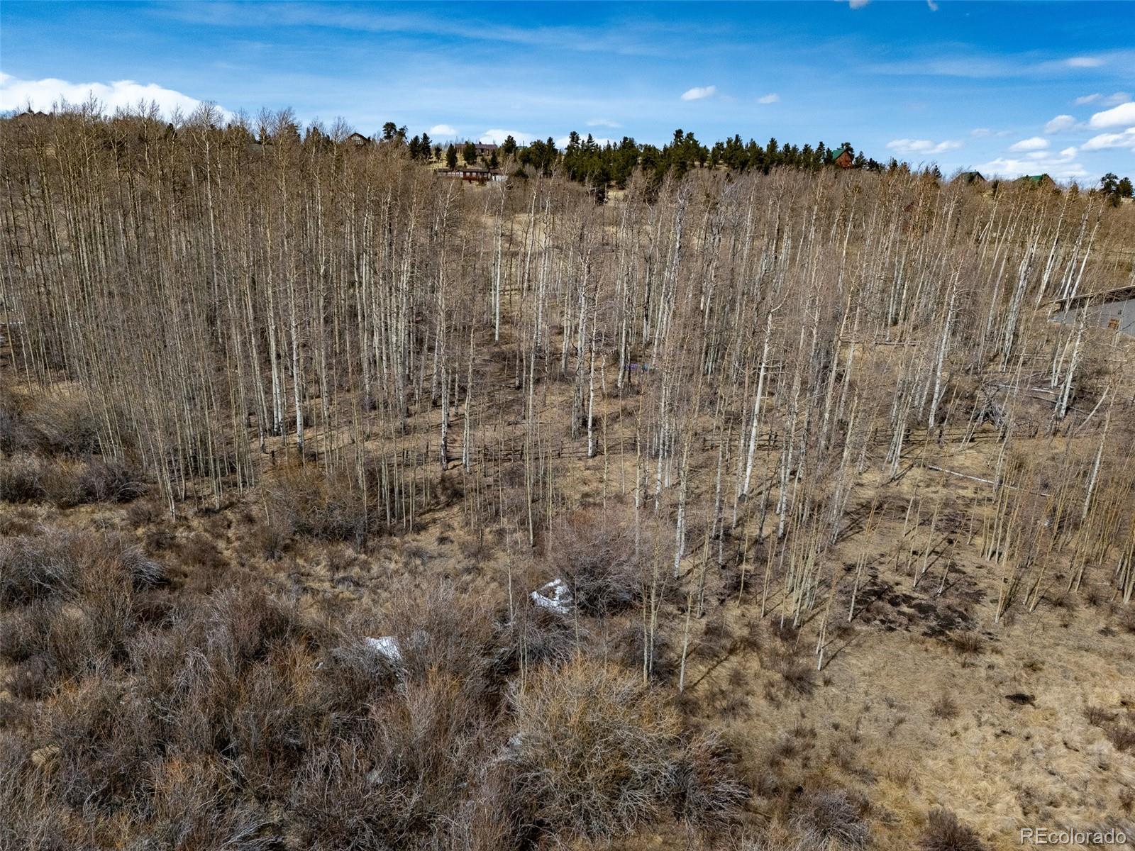 1555 Sheep Ridge Road Fairplay, CO 80440 - Photo 5 of 18 a view of a lots of trees