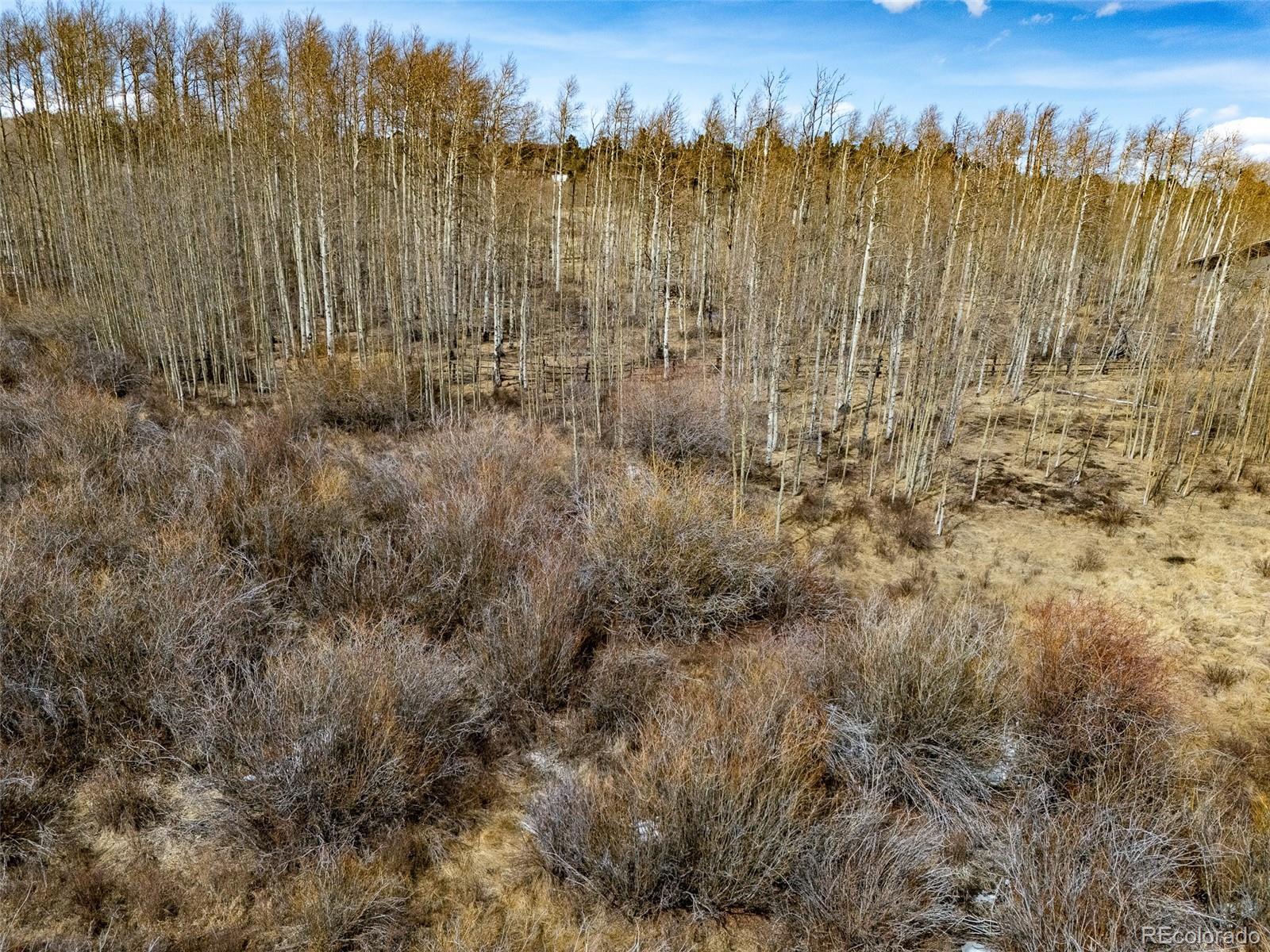 1555 Sheep Ridge Road Fairplay, CO 80440 - Photo 7 of 18 a view of a city
