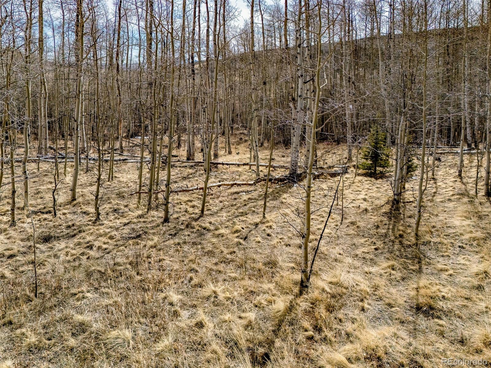 1555 Sheep Ridge Road Fairplay, CO 80440 - Photo 8 of 18 a view of a pathway
