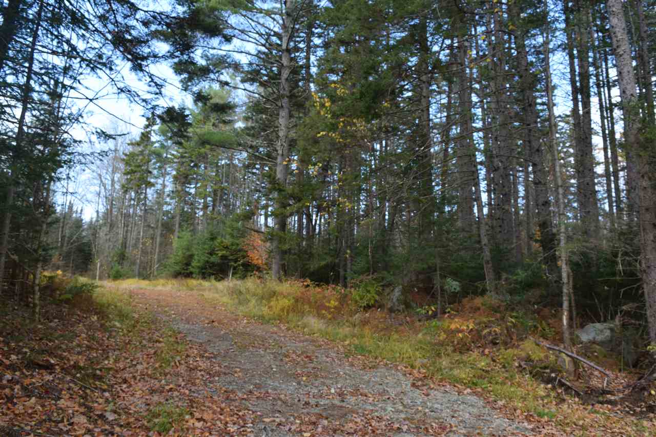 Lot 17.1-17.2 Lot 17.1-17.2 Dupont Road Lunenburg, VT 05906 - Photo 1 of 6