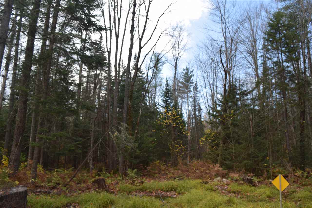 Lot 17.1-17.2 Lot 17.1-17.2 Dupont Road Lunenburg, VT 05906 - Photo 2 of 6