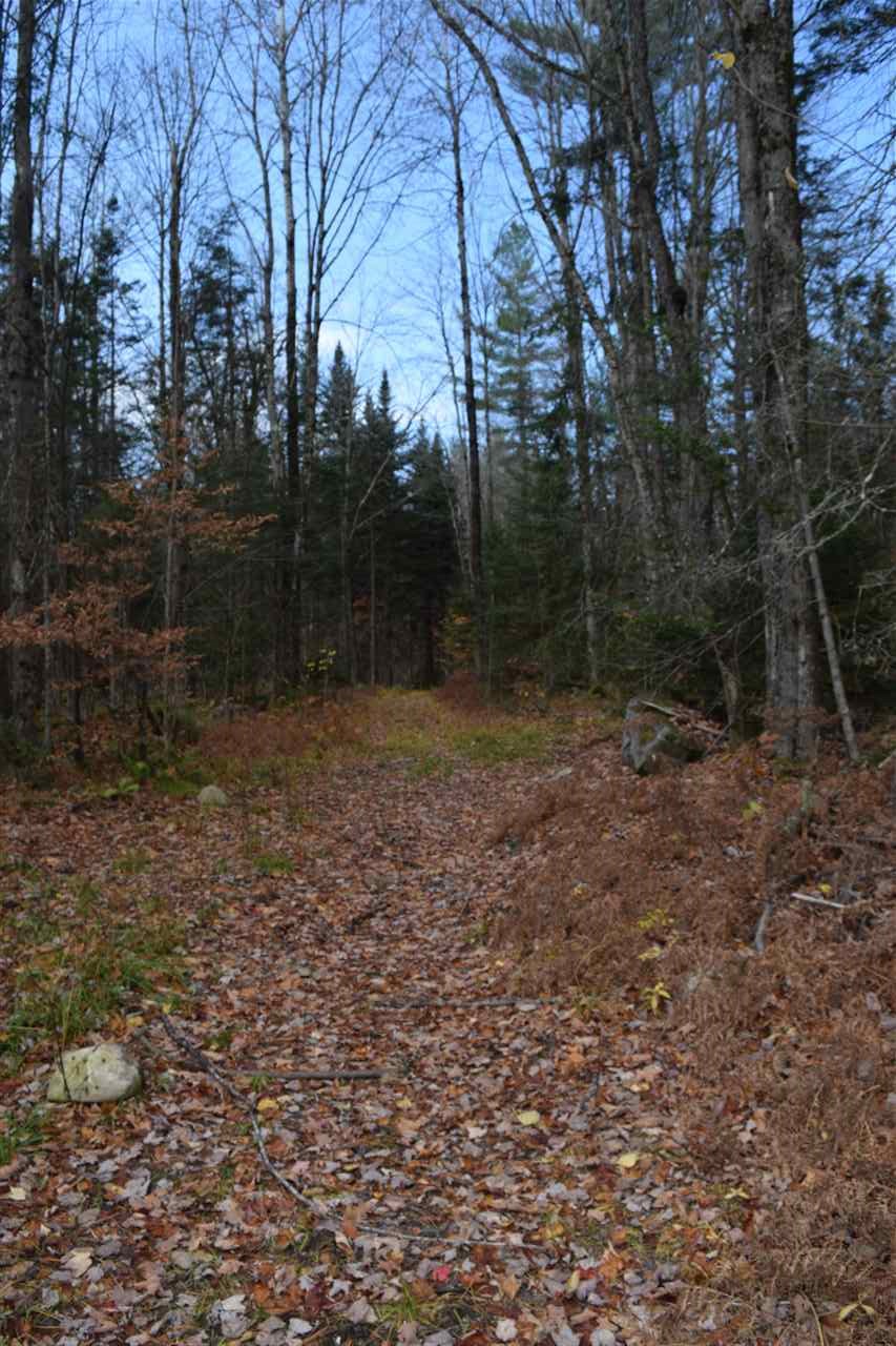 Lot 17.1-17.2 Lot 17.1-17.2 Dupont Road Lunenburg, VT 05906 - Photo 3 of 6