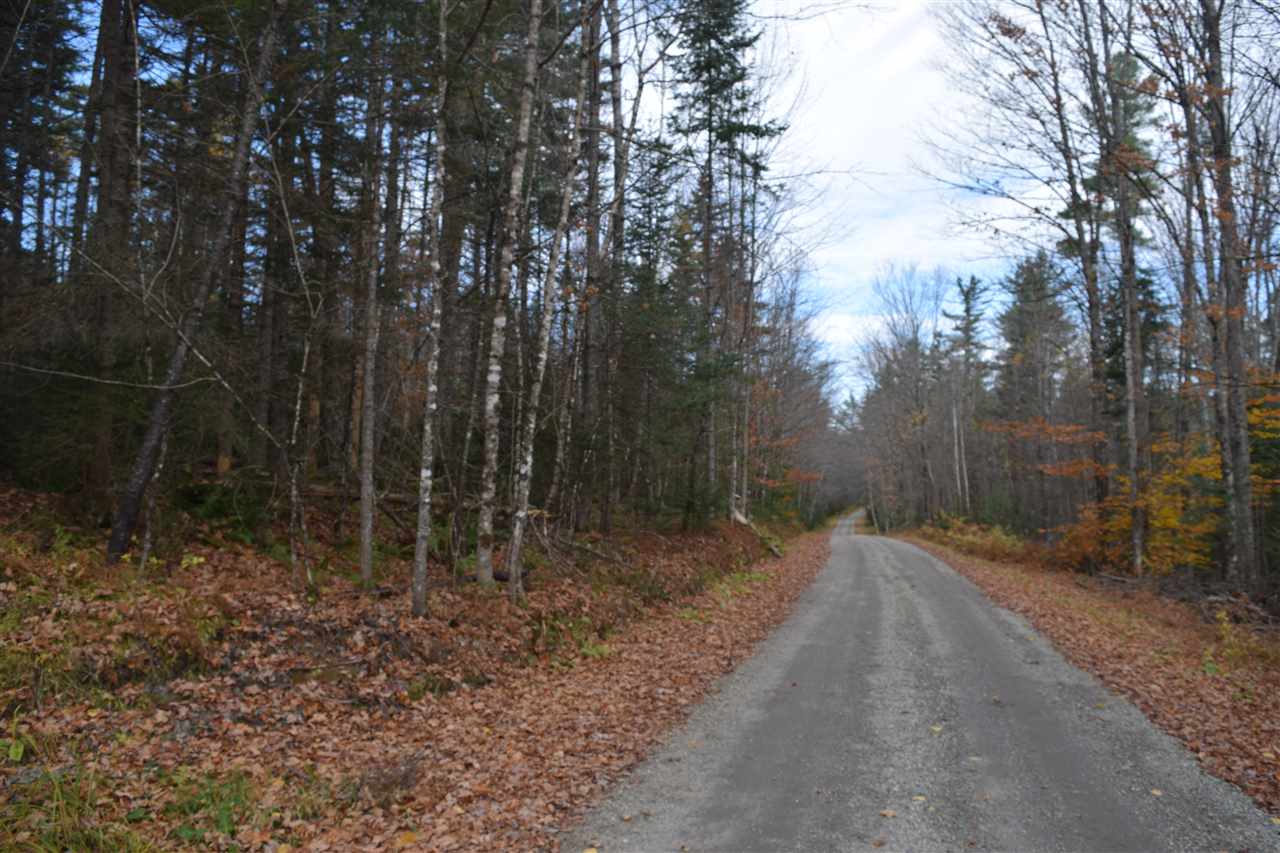 Lot 17.1-17.2 Lot 17.1-17.2 Dupont Road Lunenburg, VT 05906 - Photo 4 of 6