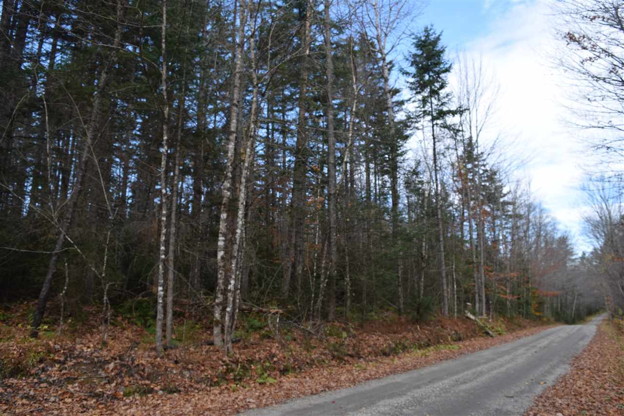 Lot 17.1-17.2 Lot 17.1-17.2 Dupont Road Lunenburg, VT 05906 - Photo 5 of 6