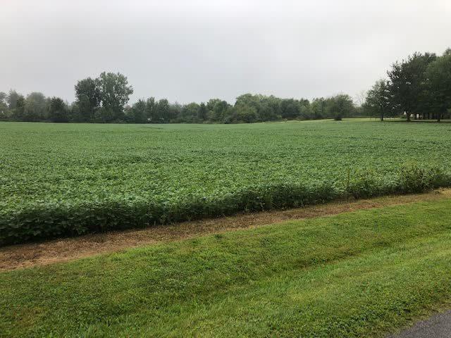 0 Brandt Road Galion, OH 44833 - Photo 3 of 4