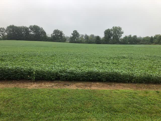 0 Brandt Road Galion, OH 44833 - Photo 4 of 4