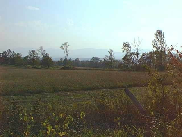 631 County Rte 351 Rensselaerville, NY 12120 - Photo 4 of 4 Photo 4